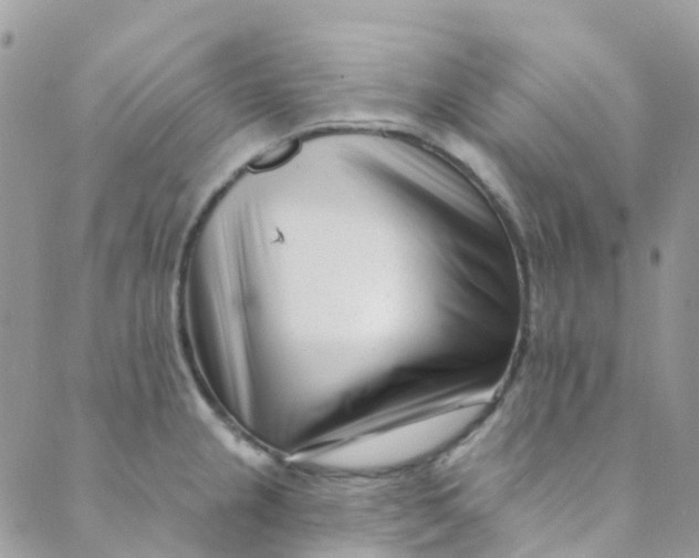 X0000089441237200707061400