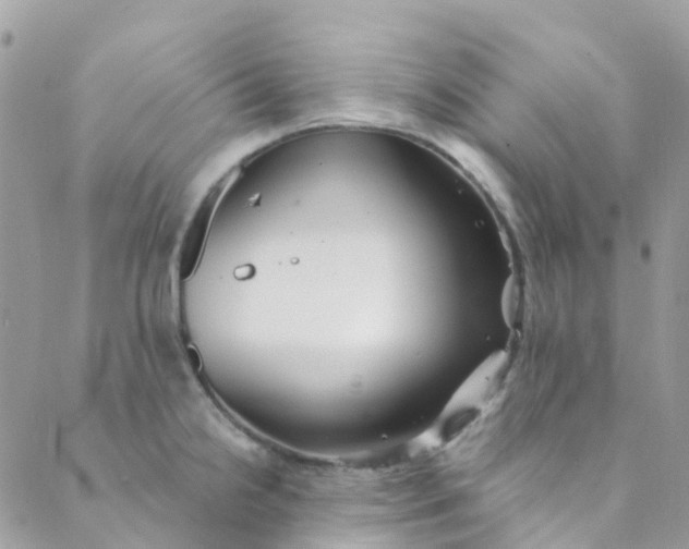 X0000089441238200707061400