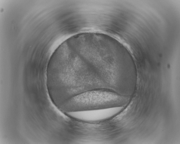 X0000089441239200707061400