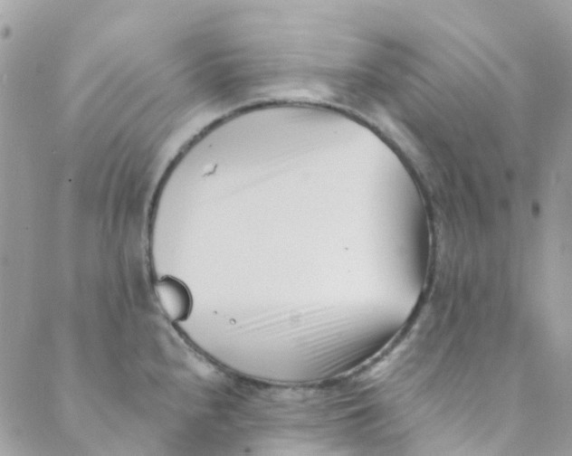 X0000089441240200707061400