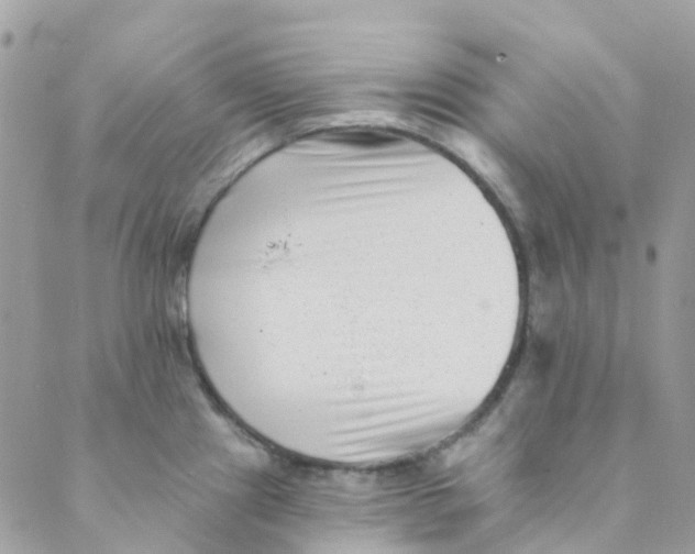 X0000089441241200707061400