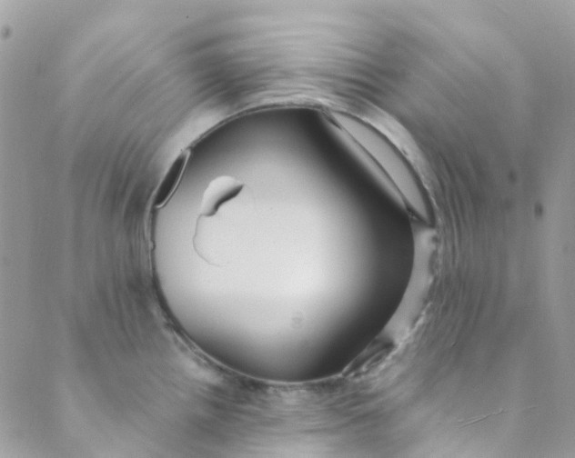 X0000089441242200707061400