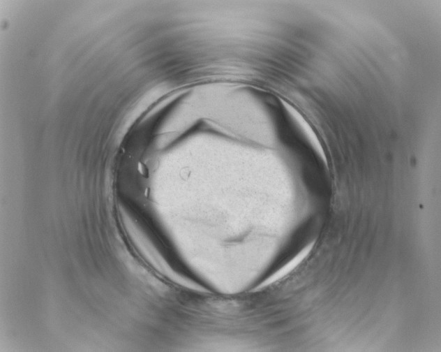 X0000089441243200707061400