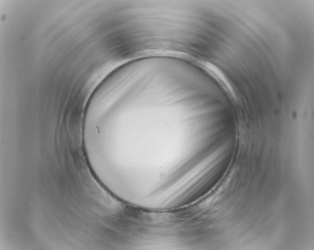 X0000089441244200707061400