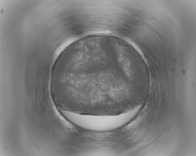 X0000089441245200707061400