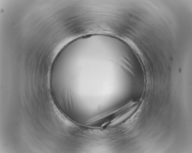 X0000089441246200707061400