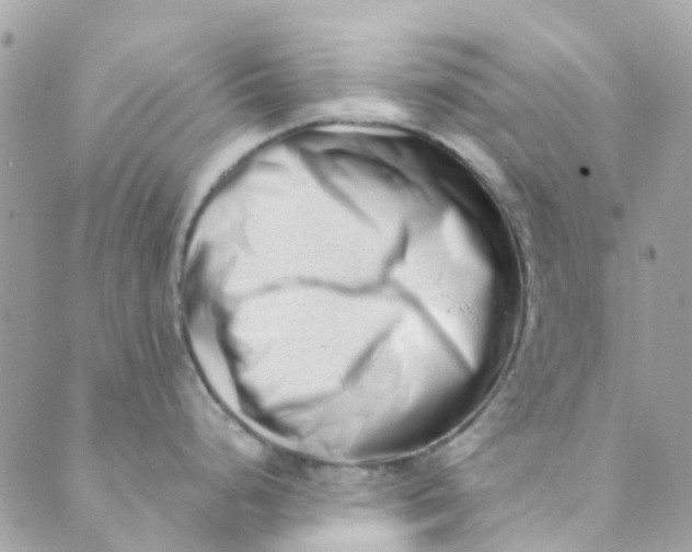 X0000089441248200707061400