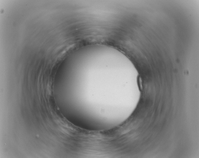 X0000089441250200707061400