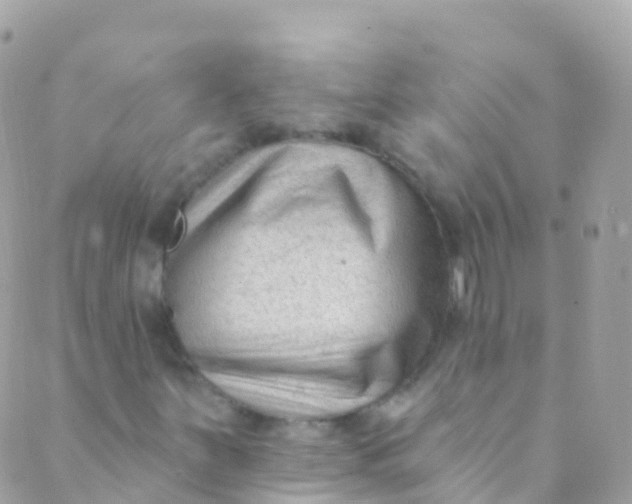 X0000089441251200707061400