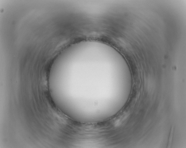 X0000089441252200707061400