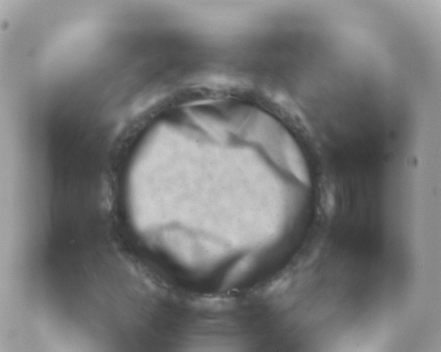 X0000089441253200707061400