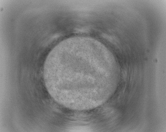 X0000089441254200707061400