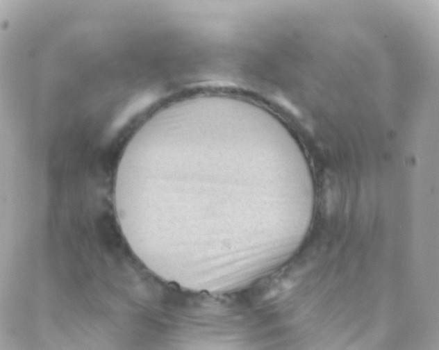 X0000089441255200707061400