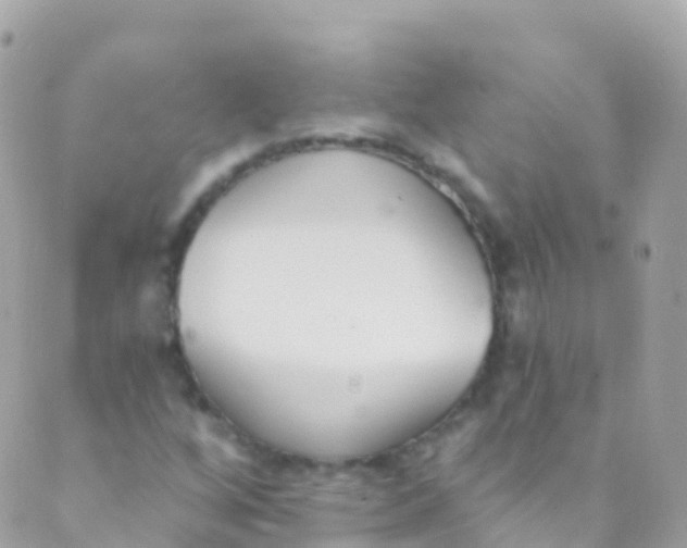 X0000089441256200707061400