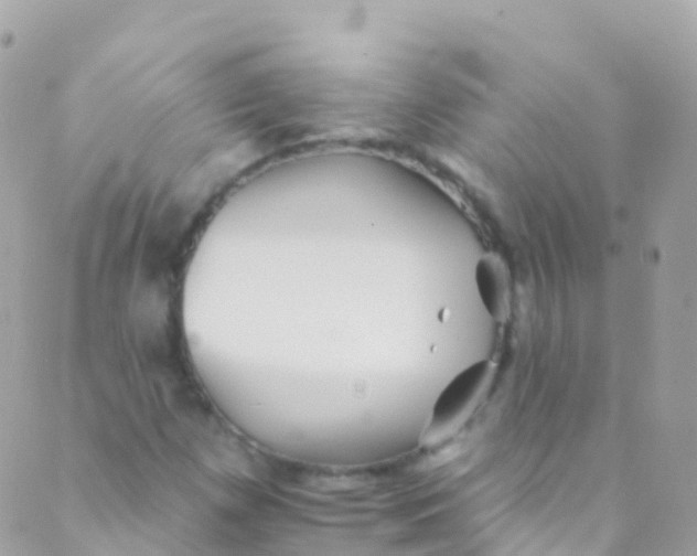 X0000089441257200707061400