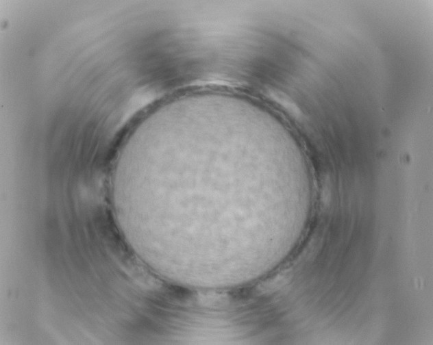 X0000089441258200707061400