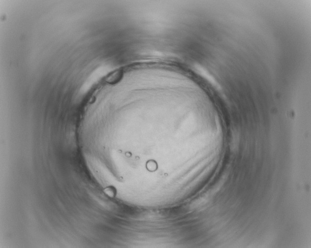 X0000089441259200707061400