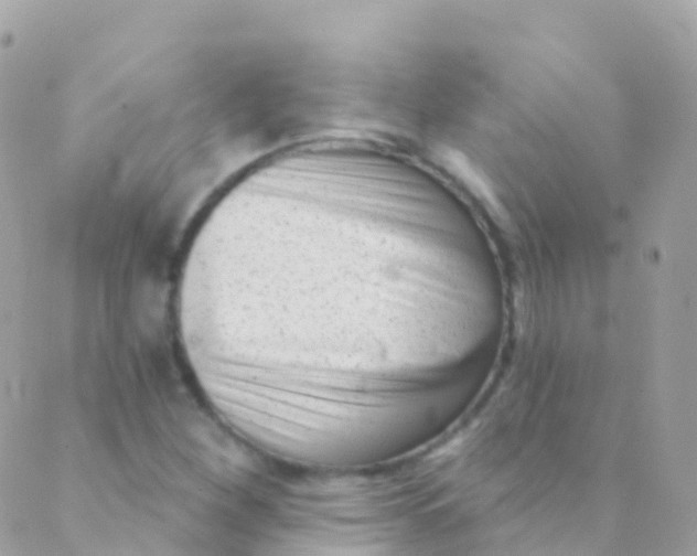 X0000089441260200707061400