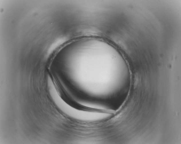 X0000089441261200707061359