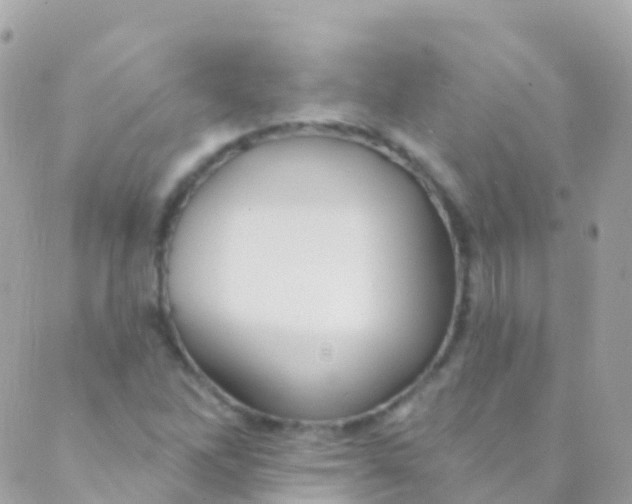 X0000089441262200707061359