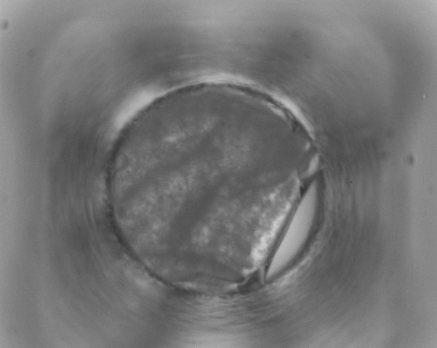 X0000089441263200707061359