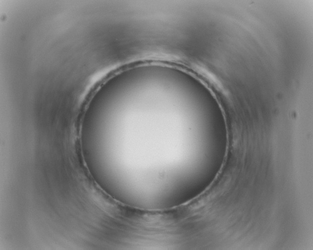 X0000089441264200707061359