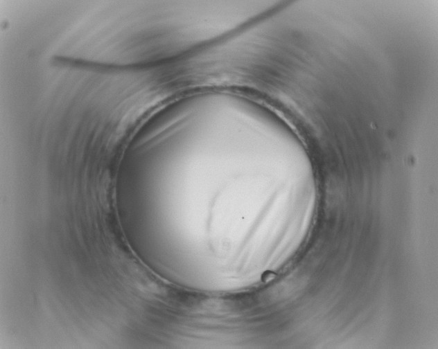 X0000089441265200707061359