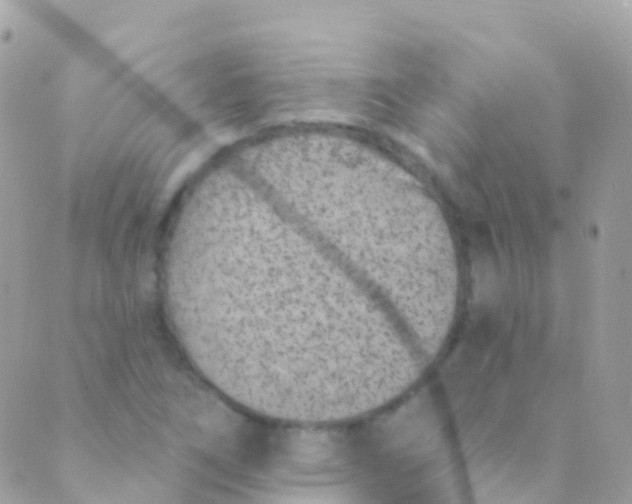 X0000089441266200707061359