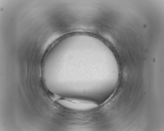 X0000089441267200707061359