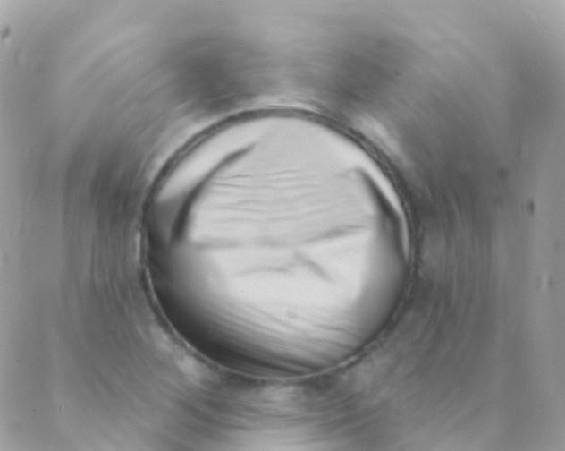 X0000089441268200707061359