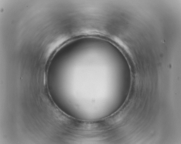 X0000089441269200707061359