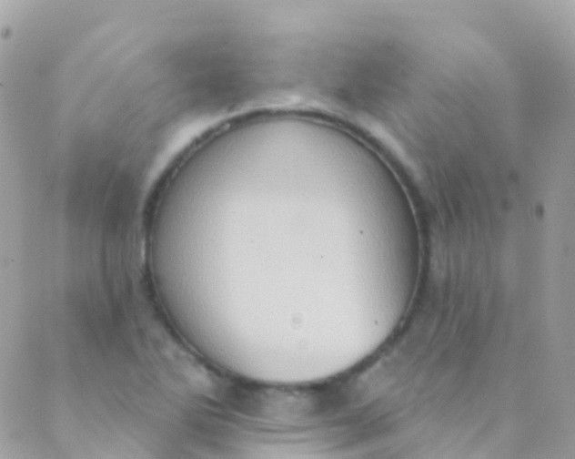 X0000089441270200707061359