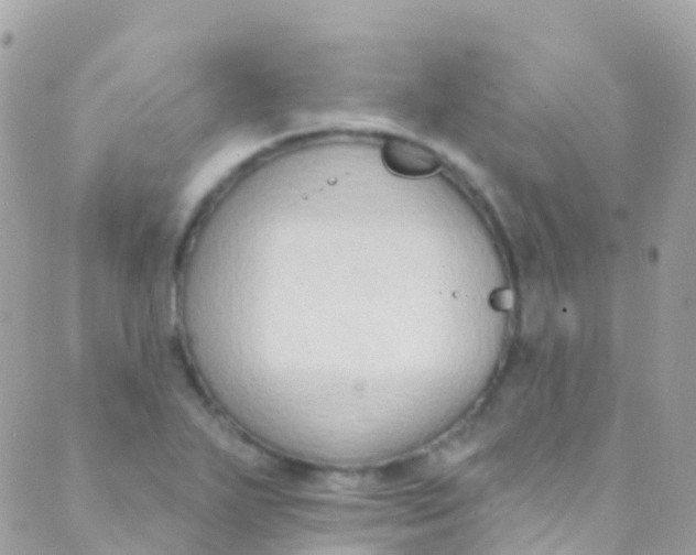 X0000089441271200707061359