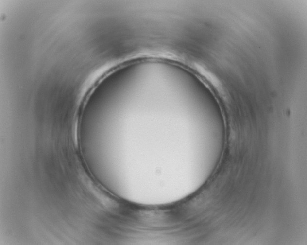 X0000089441272200707061359