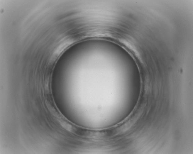 X0000089441273200707061359