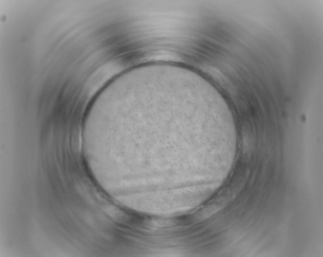 X0000089441274200707061359