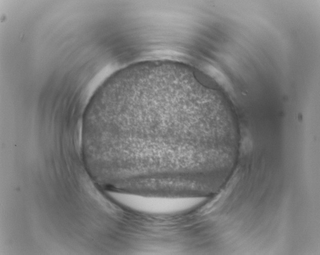 X0000089441275200707061359