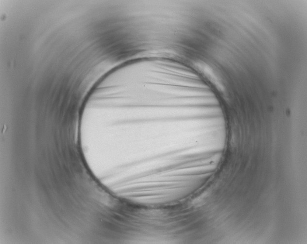 X0000089441276200707061359