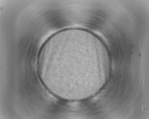 X0000089441278200707061359