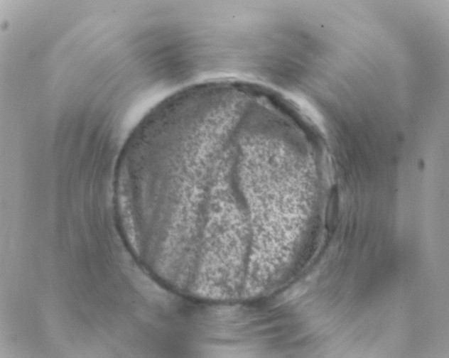 X0000089441279200707061359