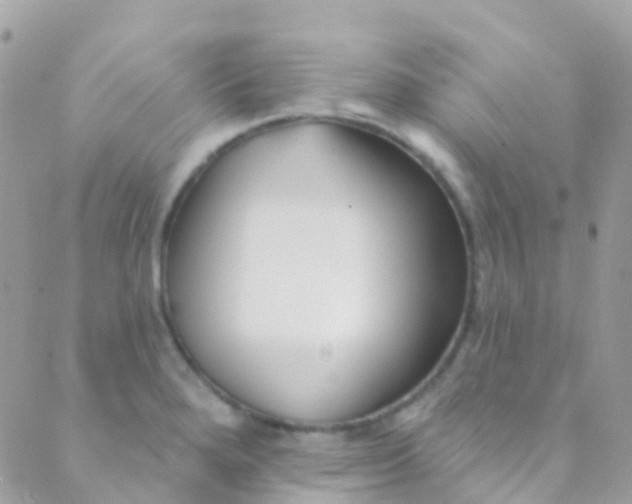 X0000089441280200707061359