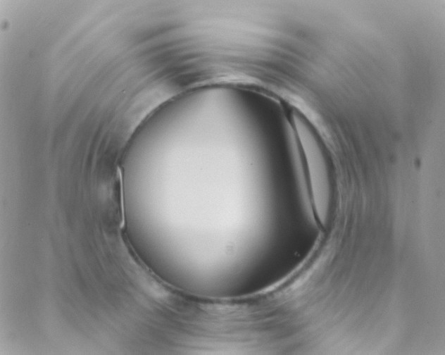 X0000089441281200707061359