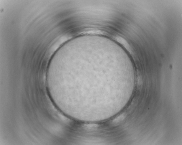 X0000089441282200707061359