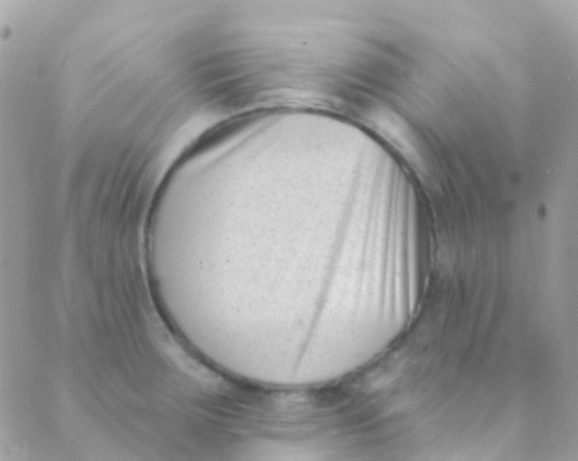 X0000089441283200707061359