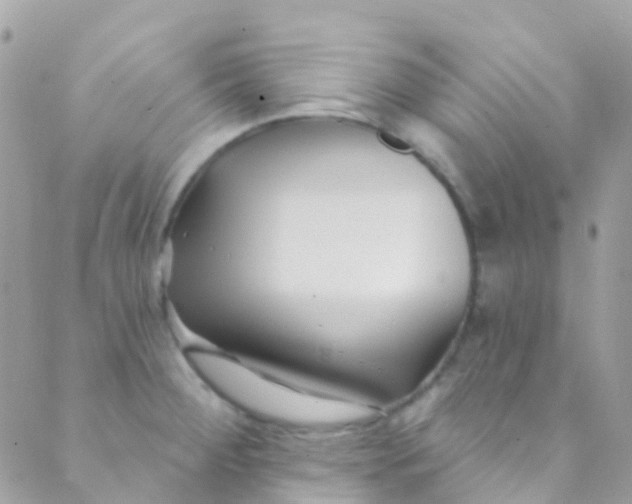 X0000089441284200707061359