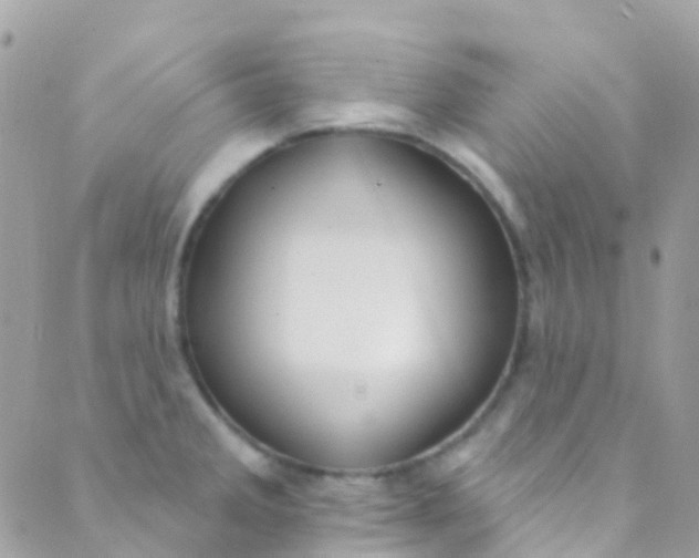 X0000089441285200707061359