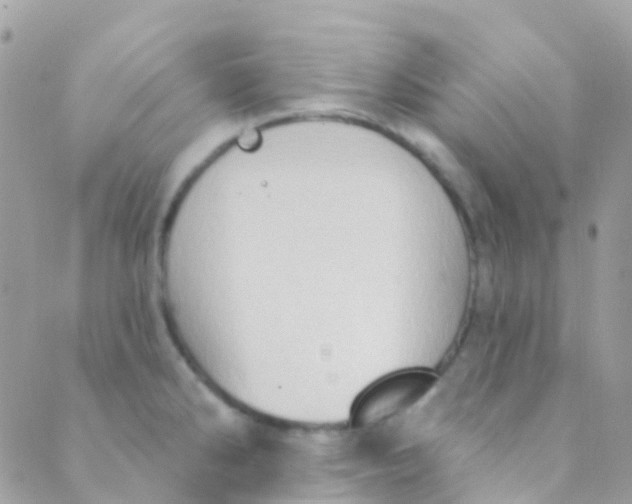 X0000089441286200707061359