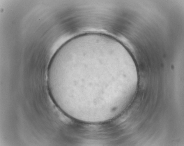 X0000089441287200707061359