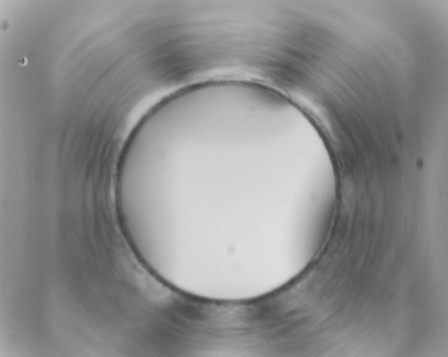 X0000089441288200707061359