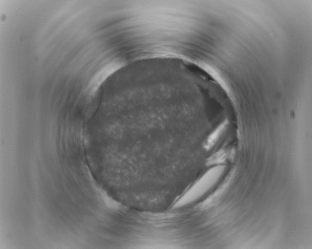 X0000089441289200707061359